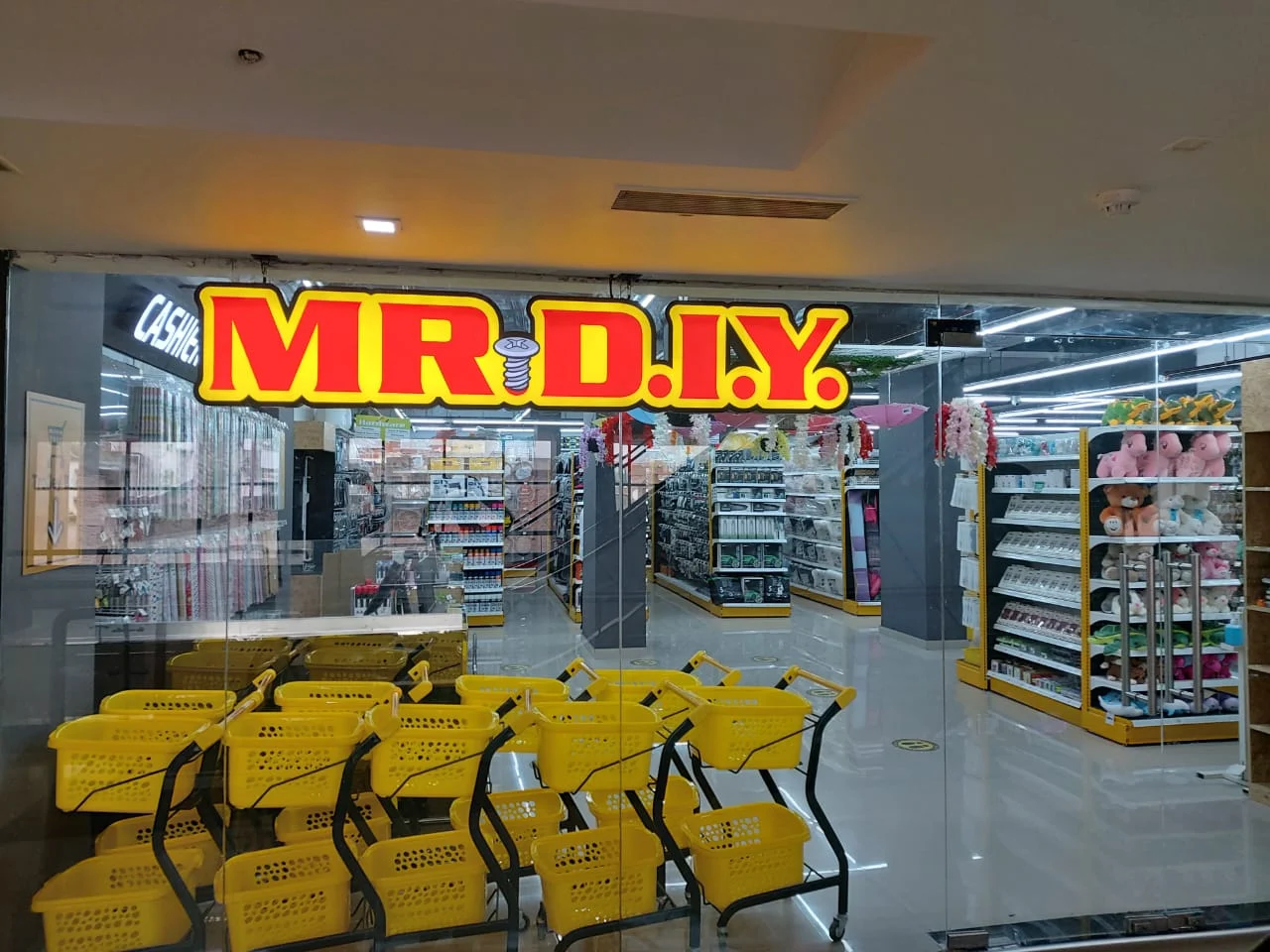 MR.DIY
